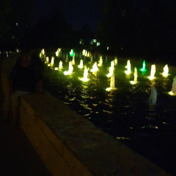 Meet your Posher, Leonel - Picture 1 of 1